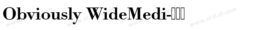 Obviously WideMedi字体转换